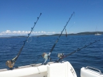 biggame-006-2014