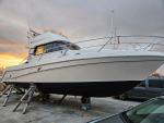 IMG-20240324-WA0135